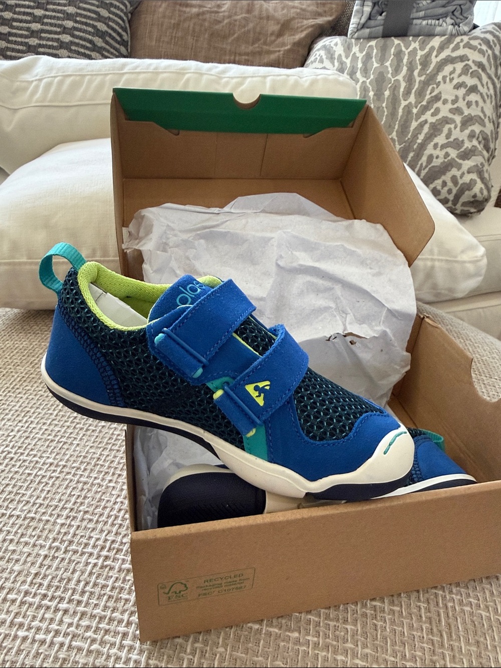 PLAE Kids hyper Blue TY Sneakers
